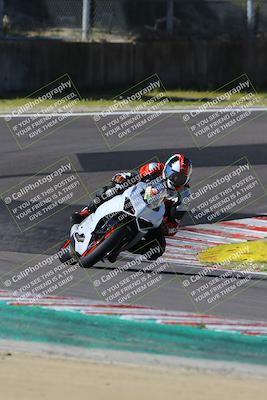 media/Mar-17-2024-Fastrack Riders (Sun) [[c7d6f8c14c]]/Level 2/Turn 6/